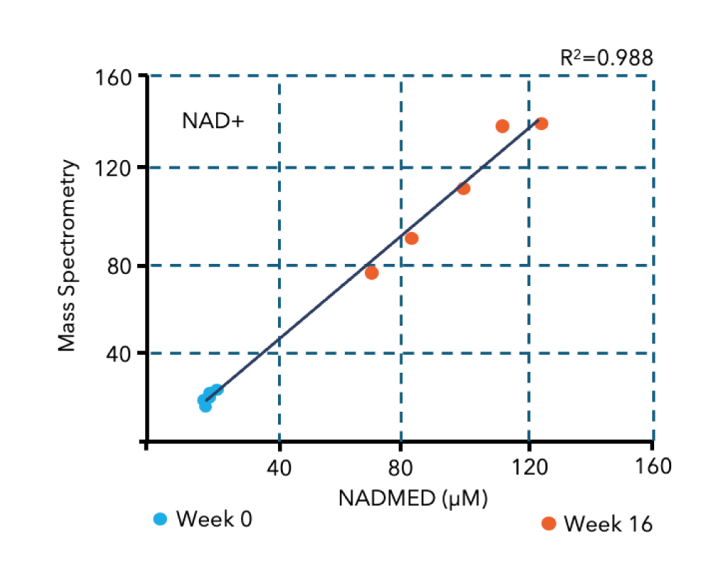 We know that working with redox metabolites can be a hassle, so why not let us handle it for you? The NADMED method enables accurate quantification of all four forms of NAD as well as both forms of glutathione. Along with your results, you’ll also get reference cut-off values based on 300 healthy individuals. | Nadmed Ltd | The standard of NAD measuring